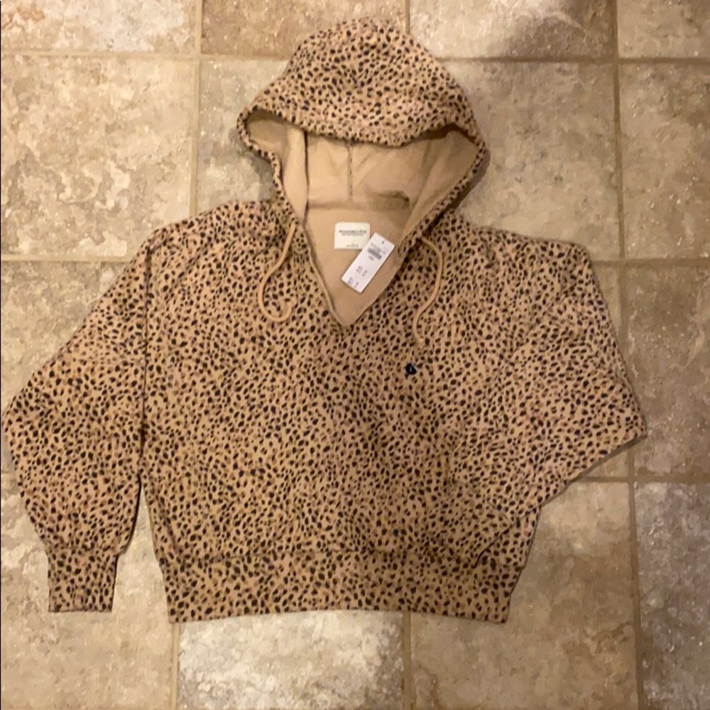 Abercrombie Cropped Hoodie